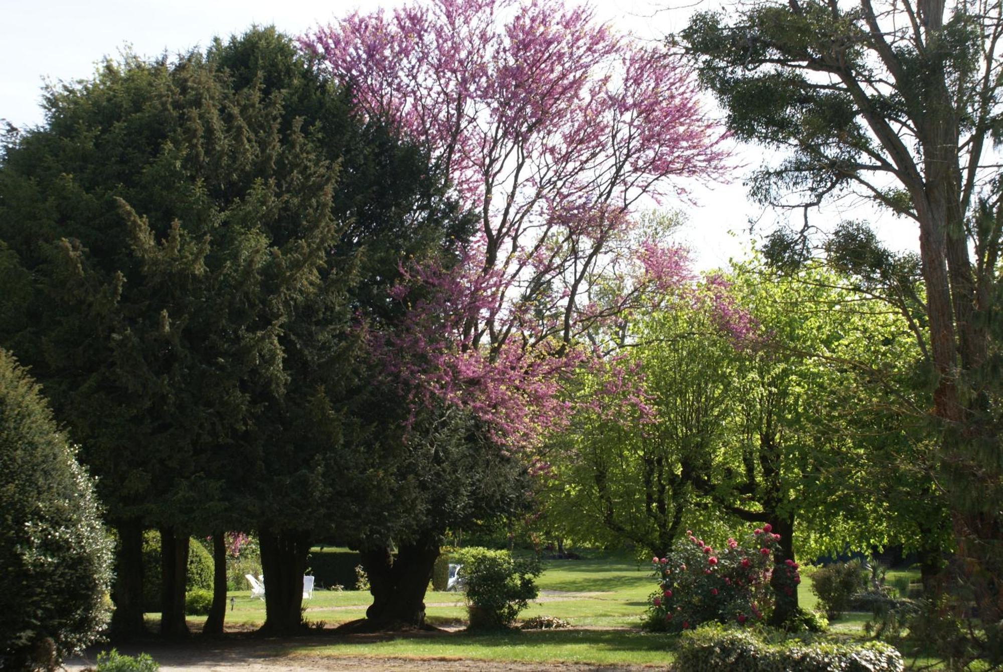 Le Beguinage Bed & Breakfast กูร์-เชอแวร์นี ภายนอก รูปภาพ